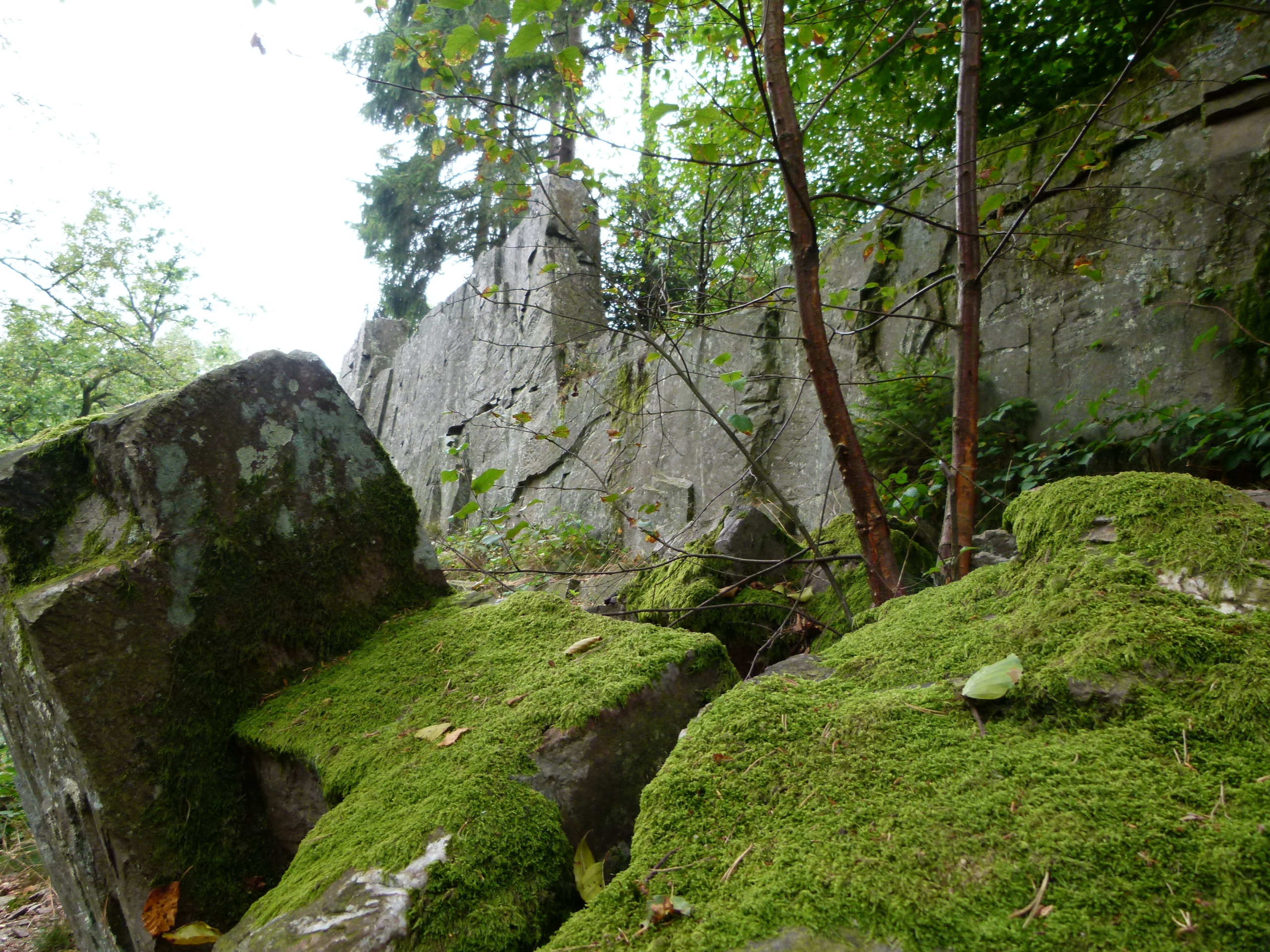 Felsenweg-5.9.2012-016 - Heimatverführer Günter Schmitt